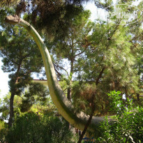 фото из отзыва ID 2061972