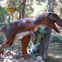 фото из отзыва ID 2061972