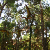 фото из отзыва ID 2061972