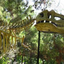 фото из отзыва ID 2061972