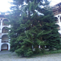 фото из отзыва ID 2062138