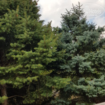 фото из отзыва ID 2062192