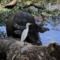 фото из отзыва ID 2062213