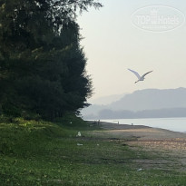 фото из отзыва ID 2062213