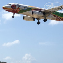 фото из отзыва ID 2062213