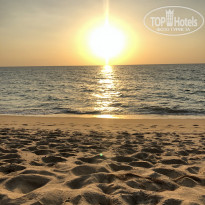 фото из отзыва ID 2062213