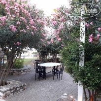 фото из отзыва ID 2062170