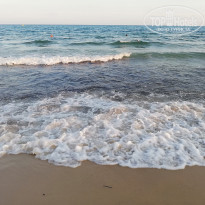 фото из отзыва ID 2062252