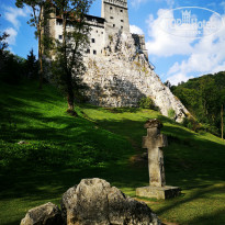 фото из отзыва ID 2062253