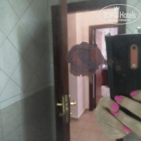 фото из отзыва ID 2062322