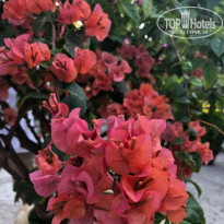 фото из отзыва ID 2062399