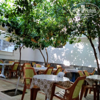 фото из отзыва ID 2062416