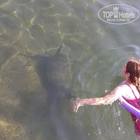 фото из отзыва ID 2062371