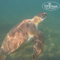 фото из отзыва ID 2062371