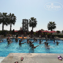 фото из отзыва ID 2062420