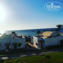 фото из отзыва ID 2062428