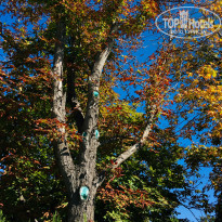 фото из отзыва ID 2062483