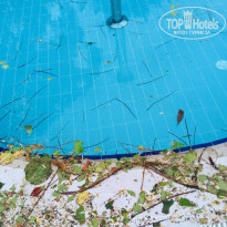 фото из отзыва ID 2062483