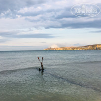 фото из отзыва ID 2062483