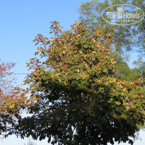 фото из отзыва ID 2062483