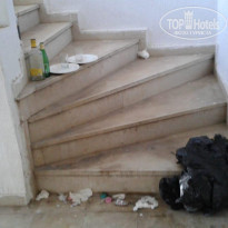 фото из отзыва ID 2061334