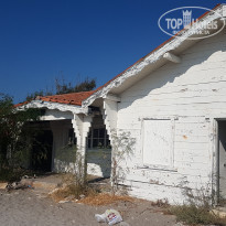 фото из отзыва ID 2062536