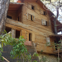 фото из отзыва ID 2062536