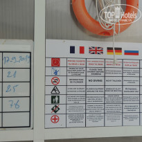 фото из отзыва ID 2062027