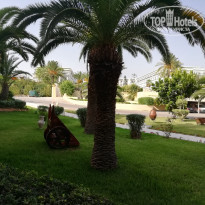 фото из отзыва ID 2062027