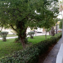 фото из отзыва ID 2062027