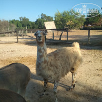 фото из отзыва ID 2062718