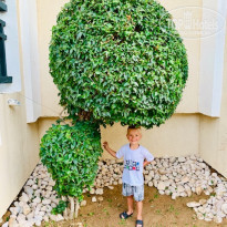 фото из отзыва ID 2062713