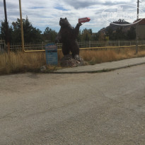 фото из отзыва ID 2062781