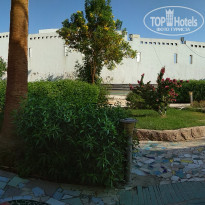 фото из отзыва ID 2061958