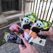 фото из отзыва ID 2062768