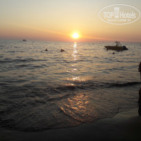 фото из отзыва ID 2062791