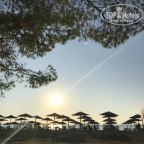 фото из отзыва ID 2062844