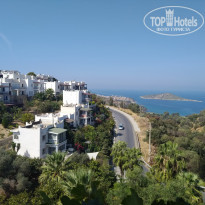 фото из отзыва ID 2062776