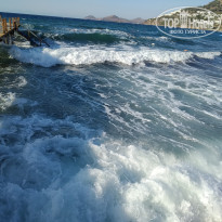 фото из отзыва ID 2062776