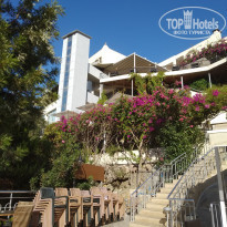 фото из отзыва ID 2062776