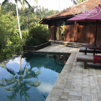 фото из отзыва ID 2062894