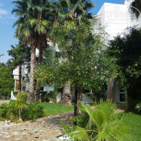 фото из отзыва ID 2062960