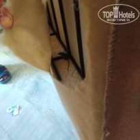 фото из отзыва ID 2063020