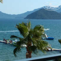 фото из отзыва ID 2063072