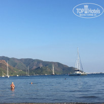 фото из отзыва ID 2063146