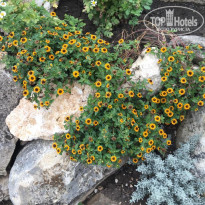 фото из отзыва ID 2063173