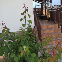 фото из отзыва ID 2063173