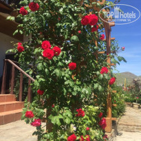 фото из отзыва ID 2063173