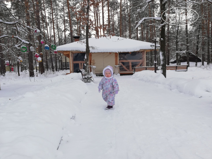 Photos Зеленый Бор
