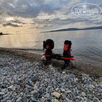 фото из отзыва ID 2063228